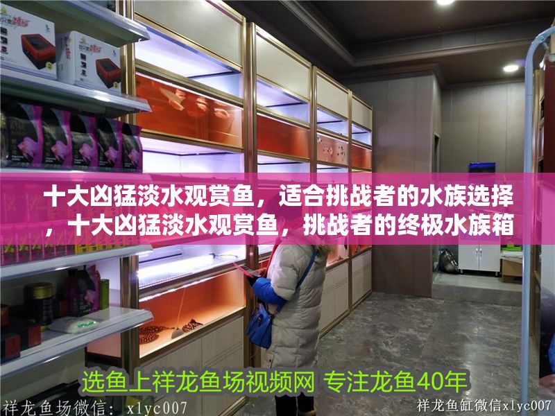 十大兇猛淡水觀賞魚，適合挑戰者的水族選擇，十大兇猛淡水觀賞魚，挑戰者的終極水族箱選擇