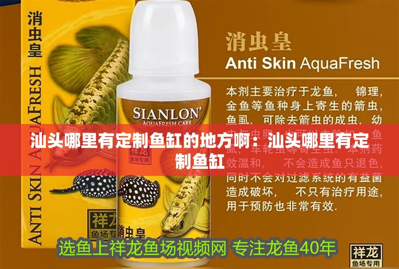 汕頭哪里有定制魚缸的地方啊：汕頭哪里有定制魚缸