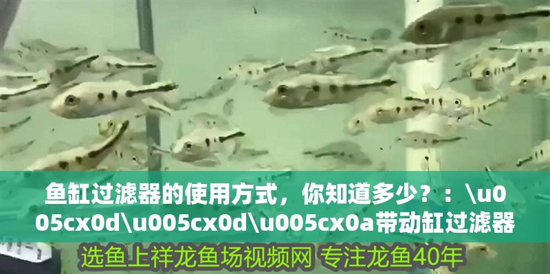 魚缸過濾器的使用方式，你知道多少？：\u005cx0d\u005cx0d\u005cx0a帶動缸過濾器