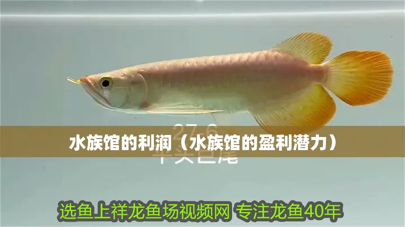 水族館的利潤（水族館的盈利潛力）