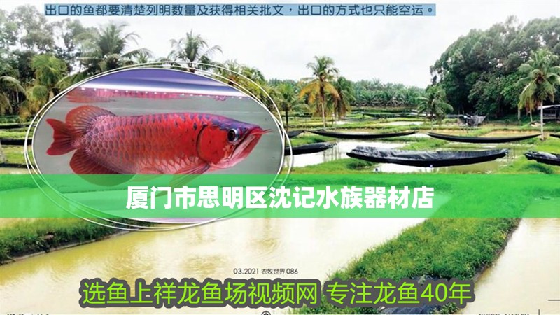 廈門市思明區沈記水族器材店