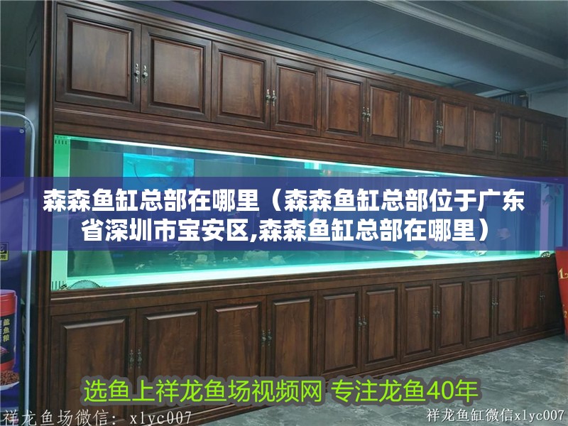 森森魚缸總部在哪里（森森魚缸總部位于廣東省深圳市寶安區,森森魚缸總部在哪里）