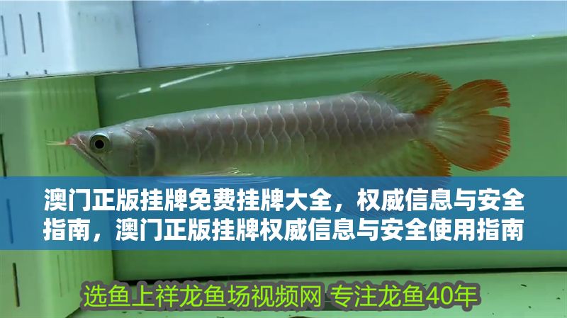 澳門正版掛牌免費掛牌大全，權(quán)威信息與安全指南，澳門正版掛牌權(quán)威信息與安全使用指南