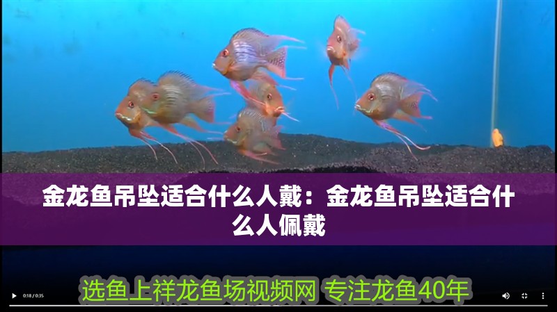金龍魚吊墜適合什么人戴：金龍魚吊墜適合什么人佩戴