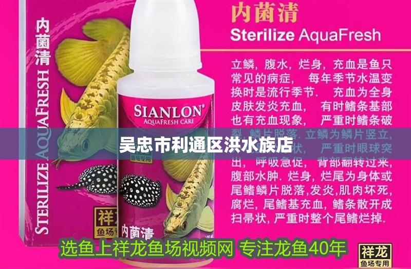 吳忠市利通區洪水族店