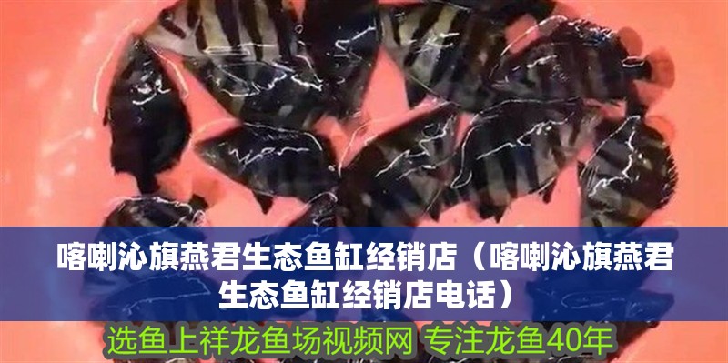 <strong><mark>喀喇沁</mark></strong>旗燕君生態(tài)魚缸經銷店（<strong><mark>喀喇沁</mark></strong>旗燕君生態(tài)魚缸經銷店電話）