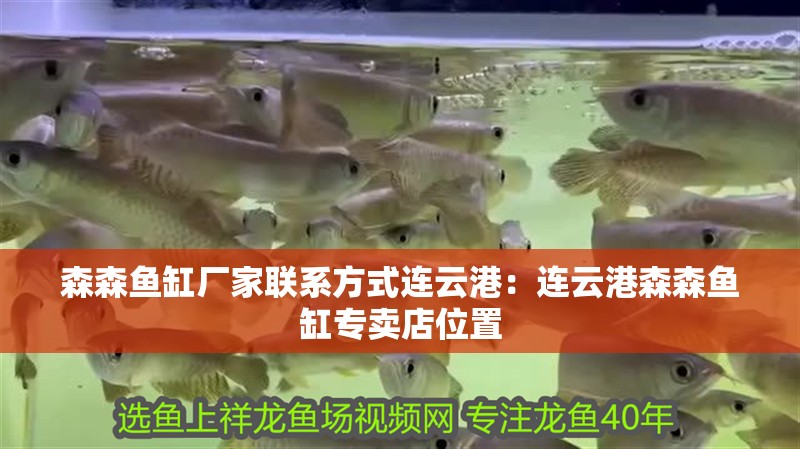 森森魚缸廠家聯(lián)系方式連云港：連云港森森魚缸專賣店位置