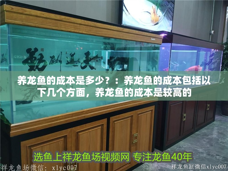 養龍魚的成本是多少？：養龍魚的成本包括以下幾個方面，養龍魚的成本是較高的