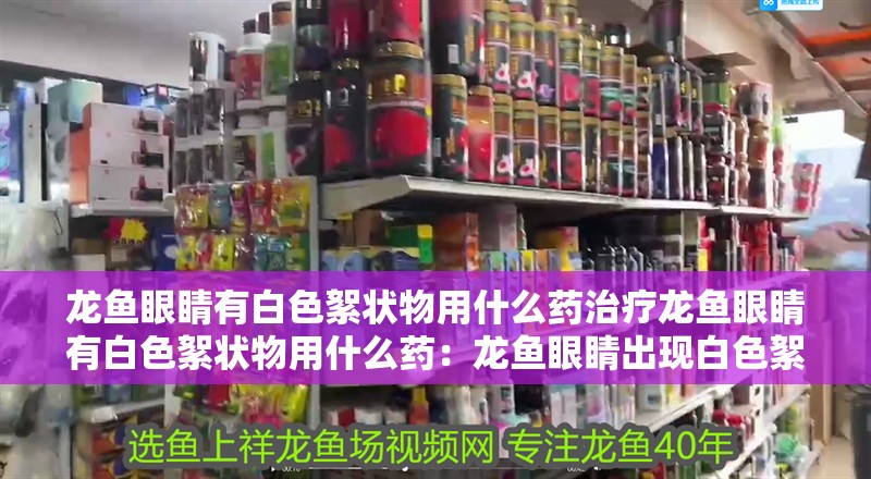 龍魚眼睛有白色絮狀物用什么藥治療龍魚眼睛有白色絮狀物用什么藥：龍魚眼睛出現白色絮狀物怎么辦