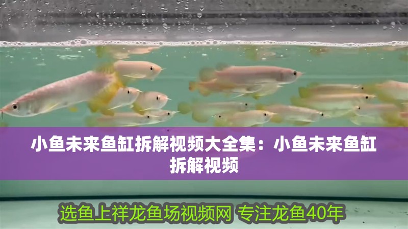 小魚未來魚缸拆解視頻大全集：小魚未來魚缸拆解視頻