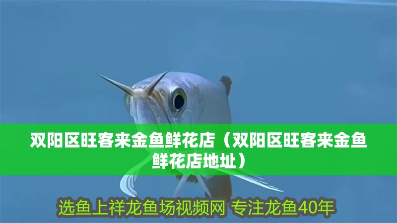 雙陽區旺客來金魚鮮花店（雙陽區旺客來金魚鮮花店地址）