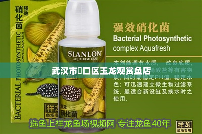 武漢市<strong><mark>硚口</mark></strong>區(qū)玉龍觀賞魚店