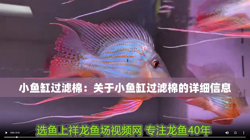 小魚缸過濾棉：關于小魚缸過濾棉的詳細信息