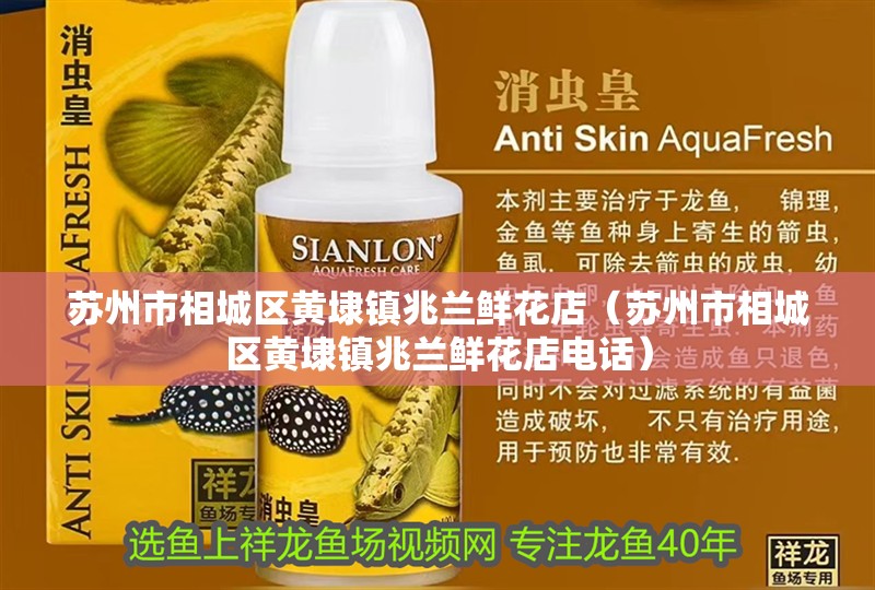 蘇州市相城區黃埭鎮兆蘭鮮花店（蘇州市相城區黃埭鎮兆蘭鮮花店電話）