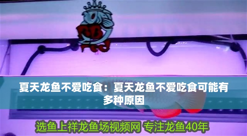 夏天龍魚不愛吃食：夏天龍魚不愛吃食可能有多種原因