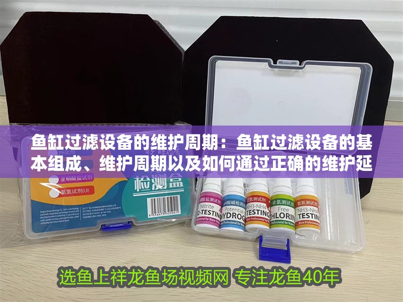 魚缸過濾設備的維護周期：魚缸過濾設備的基本組成、維護周期以及如何通過正確的維護延長壽命