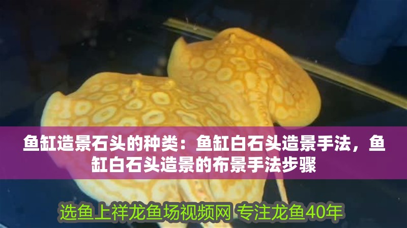 魚缸造景石頭的種類：魚缸白石頭造景手法，魚缸白石頭造景的布景手法步驟