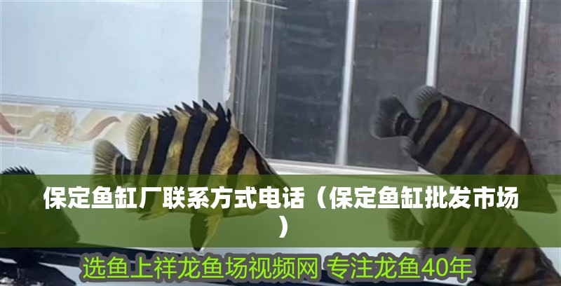 <strong><mark>保定</mark></strong>魚缸廠聯系方式電話（<strong><mark>保定</mark></strong>魚缸批發市場）