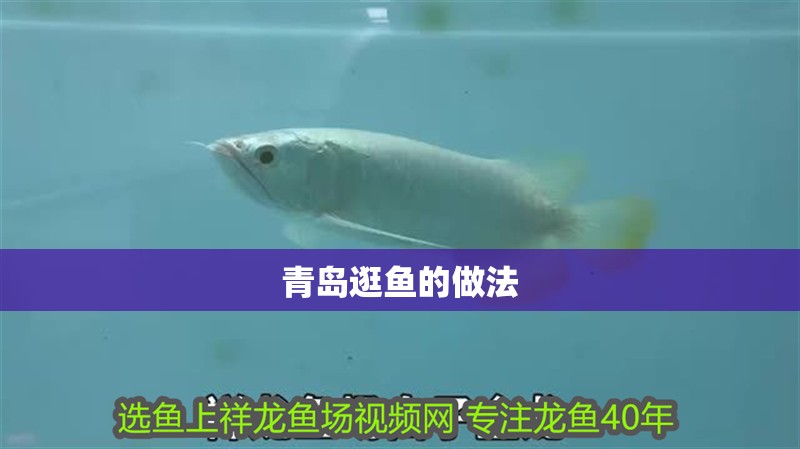 青島逛魚的做法