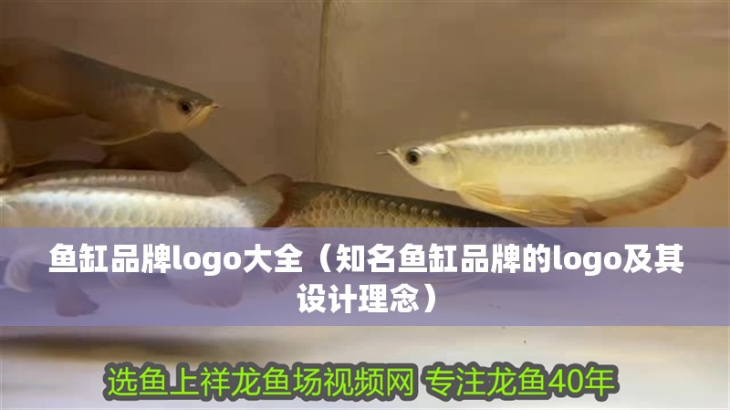 魚缸品牌logo大全（知名魚缸品牌的logo及其設計理念）