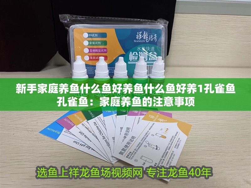 新手家庭養(yǎng)魚什么魚好養(yǎng)魚什么魚好養(yǎng)1孔雀魚孔雀魚：家庭養(yǎng)魚的注意事項(xiàng)