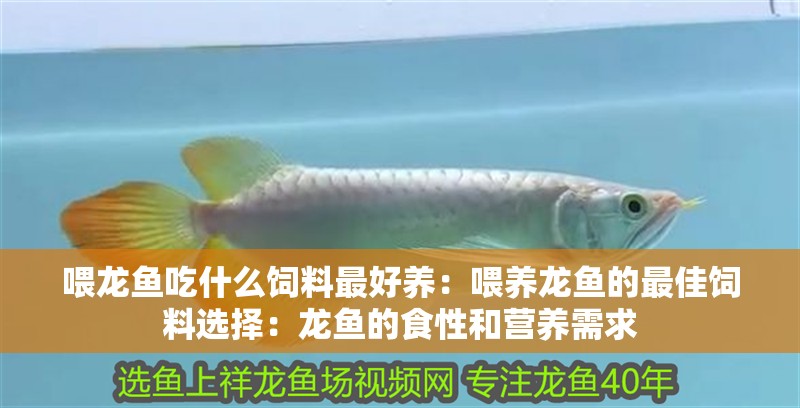 喂龍魚吃什么飼料最好養：喂養龍魚的最佳飼料選擇：龍魚的食性和營養需求