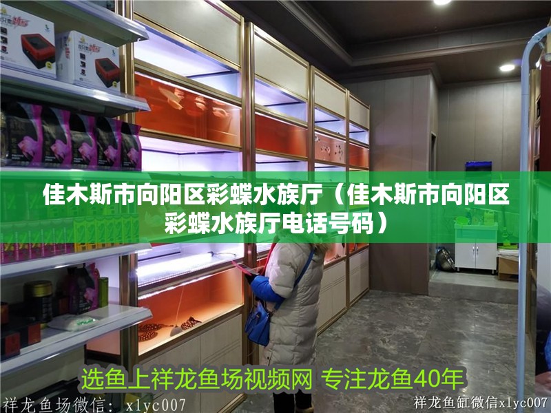 佳木斯市向陽(yáng)區(qū)彩蝶水族廳（佳木斯市向陽(yáng)區(qū)彩蝶水族廳電話(huà)號(hào)碼）