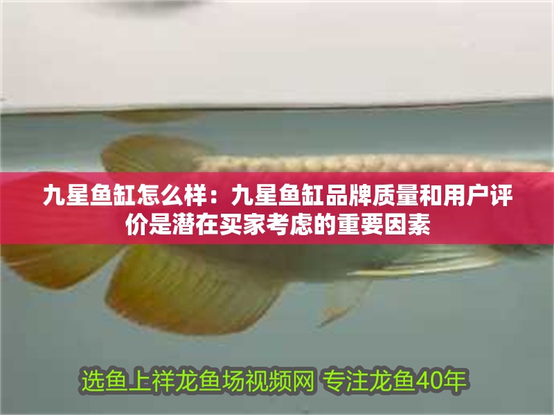 九星魚缸怎么樣：九星魚缸品牌質量和用戶評價是潛在買家考慮的重要因素
