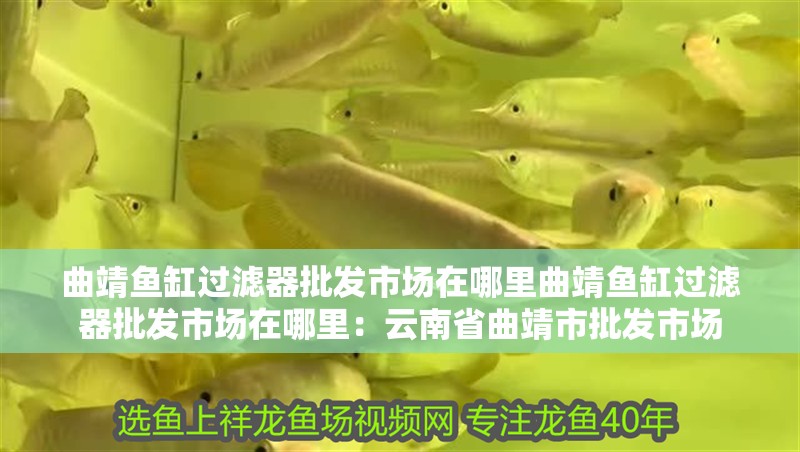 曲靖魚缸過濾器批發市場在哪里曲靖魚缸過濾器批發市場在哪里：云南省曲靖市批發市場