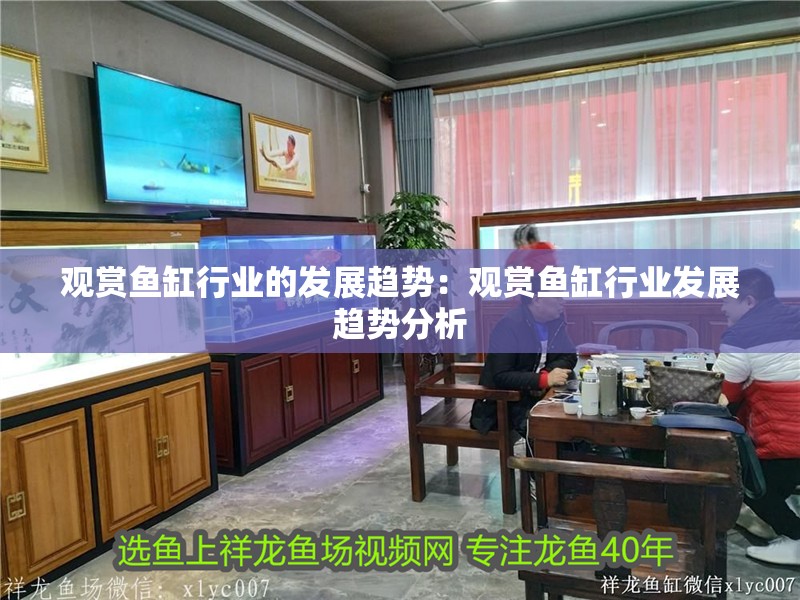 觀賞魚缸行業的發展趨勢：觀賞魚缸行業發展趨勢分析