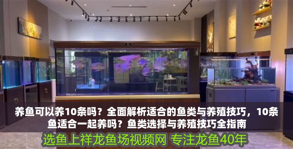 養魚可以養10條嗎？全面解析適合的魚類與養殖技巧，10條魚適合一起養嗎？魚類選擇與養殖技巧全指南