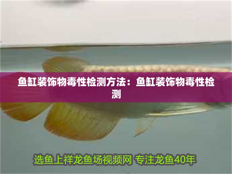 魚缸裝飾物毒性檢測方法：魚缸裝飾物毒性檢測