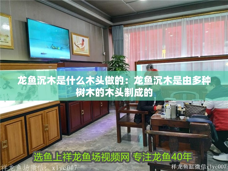 龍魚沉木是什么木頭做的：龍魚沉木是由多種樹木的木頭制成的 龍魚沉木是什么木頭做的：龍魚沉木是由多種樹木的木頭制成的 龍魚百科