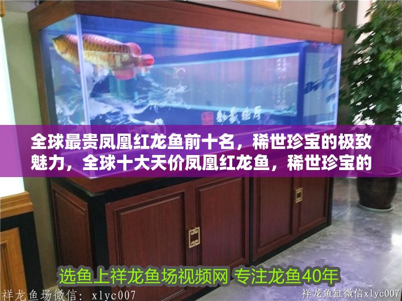 全球最貴鳳凰紅龍魚前十名，稀世珍寶的極致魅力，全球十大天價鳳凰紅龍魚，稀世珍寶的極致魅力排行榜