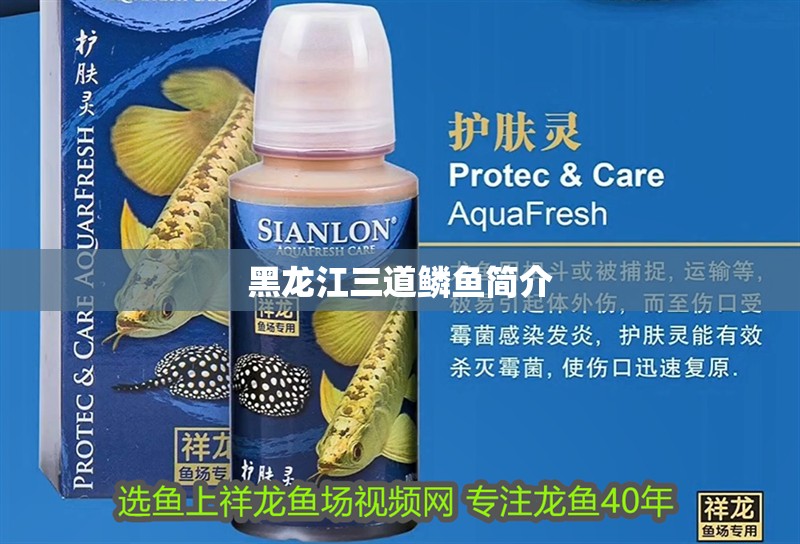 鸚鵡魚和銀龍魚混養怎樣喂食 黑龍江三道鱗魚簡介 龍魚論壇 黑龍江三道鱗魚簡介 黑龍江三道鱗魚簡介 龍魚論壇