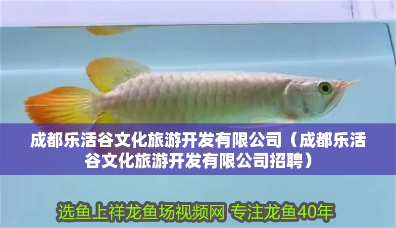 成都樂活谷文化旅游開發有限公司（成都樂活谷文化旅游開發有限公司招聘）