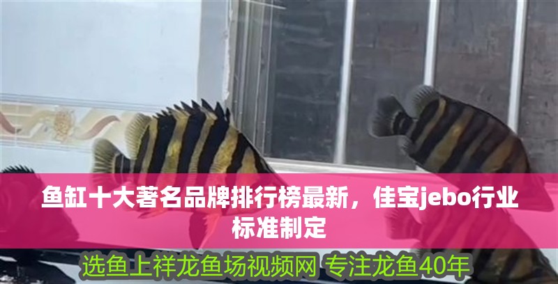 魚缸十大著名品牌排行榜最新，佳寶jebo行業標準制定