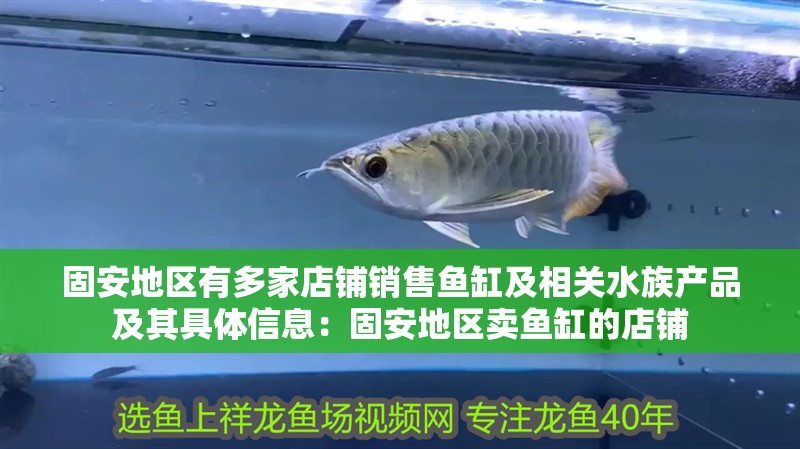 固安地區有多家店鋪銷售魚缸及相關水族產品及其具體信息：固安地區賣魚缸的店鋪