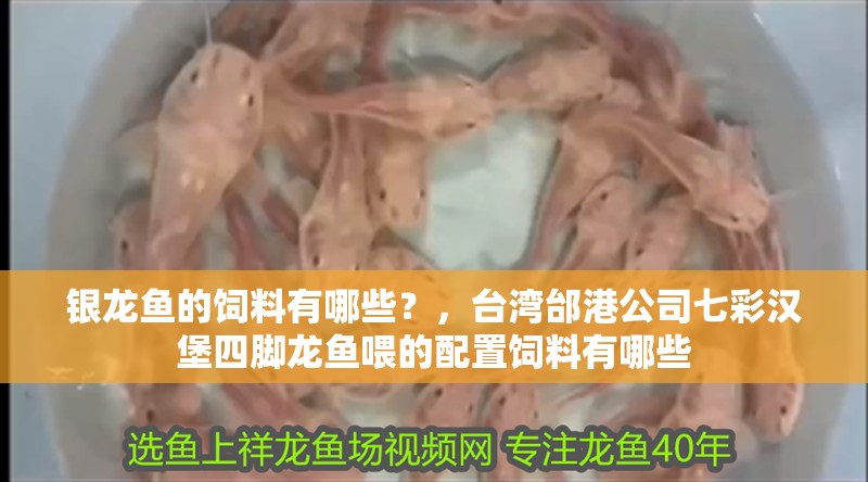 銀龍魚的飼料有哪些？，臺灣邰港公司七彩漢堡四腳龍魚喂的配置飼料有哪些