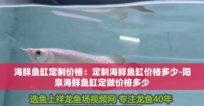 海鮮魚缸定制價格：定制海鮮魚缸價格多少-陽泉海鮮魚缸定做價格多少