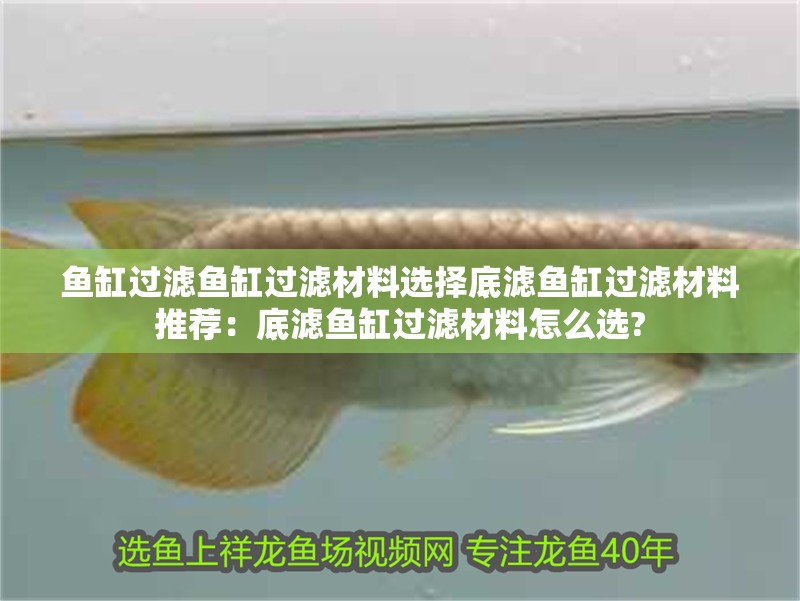 魚缸過濾魚缸過濾材料選擇底濾魚缸過濾材料推薦：底濾魚缸過濾材料怎么選?