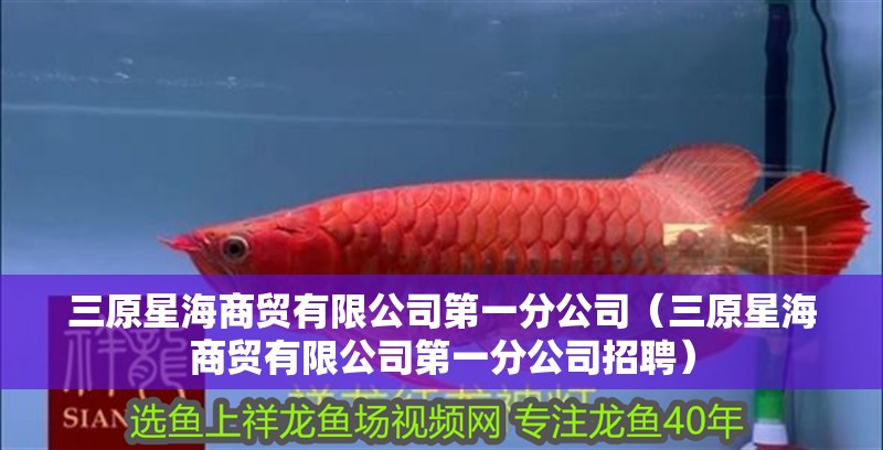 三原星海商貿有限公司第一分公司（三原星海商貿有限公司第一分公司招聘）