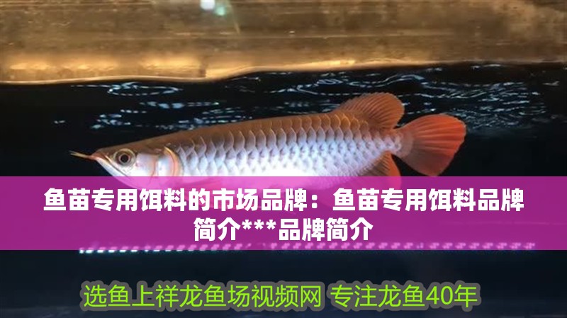 魚苗專用餌料的市場品牌：魚苗專用餌料品牌簡介***品牌簡介