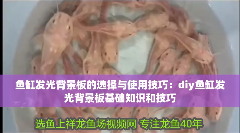 魚缸發光背景板的選擇與使用技巧：diy魚缸發光背景板基礎知識和技巧