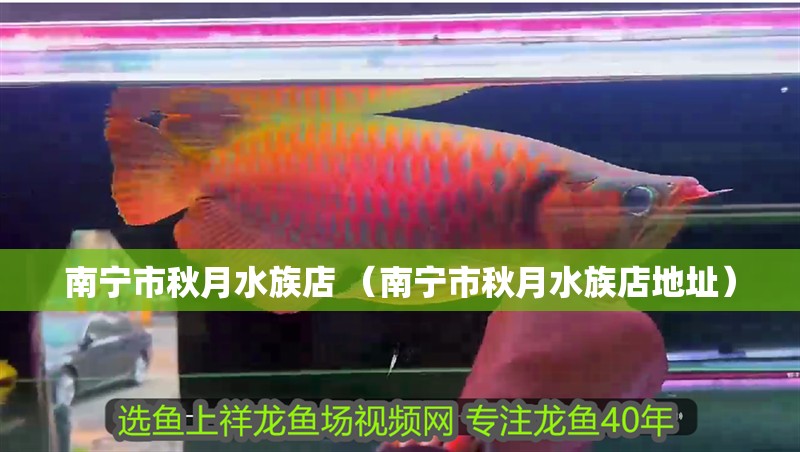 南寧市秋月水族店 （南寧市秋月水族店地址）