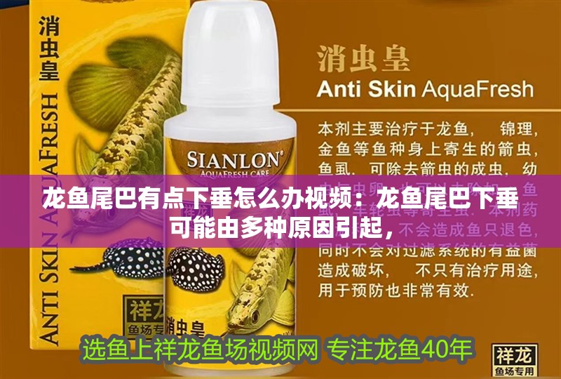 龍魚尾巴有點(diǎn)下垂怎么辦視頻：龍魚尾巴下垂可能由多種原因引起，