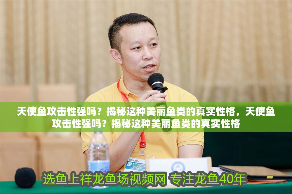 天使魚攻擊性強嗎？揭秘這種美麗魚類的真實性格，天使魚攻擊性強嗎？揭秘這種美麗魚類的真實性格