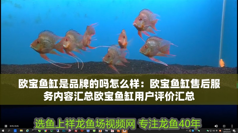 歐寶魚缸是品牌的嗎怎么樣：歐寶魚缸售后服務內容匯總歐寶魚缸用戶評價匯總