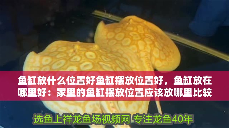 魚缸放什么位置好魚缸擺放位置好，魚缸放在哪里好：家里的魚缸擺放位置應該放哪里比較好？
