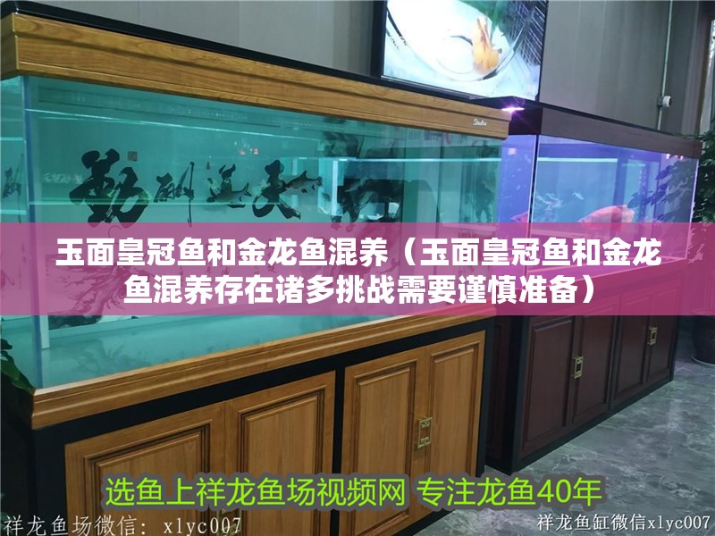 玉面皇冠魚和金龍魚混養（玉面皇冠魚和金龍魚混養存在諸多挑戰需要謹慎準備）